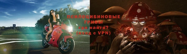 мдпв Пересвет