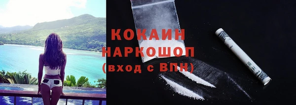 мдпв Пересвет
