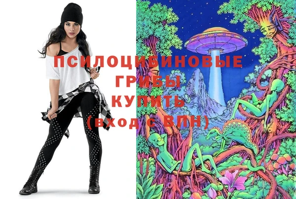 герыч Пестово