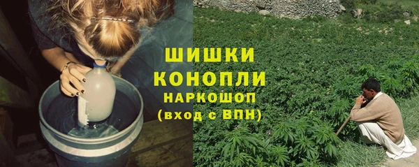 мдпв Пересвет