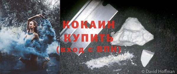 ПСИЛОЦИБИНОВЫЕ ГРИБЫ Дубовка