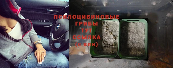 герыч Пестово