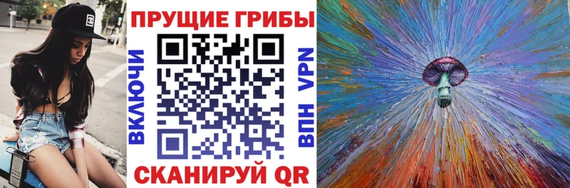 Псилоцибиновые грибы мицелий  omg ТОР  Салават 